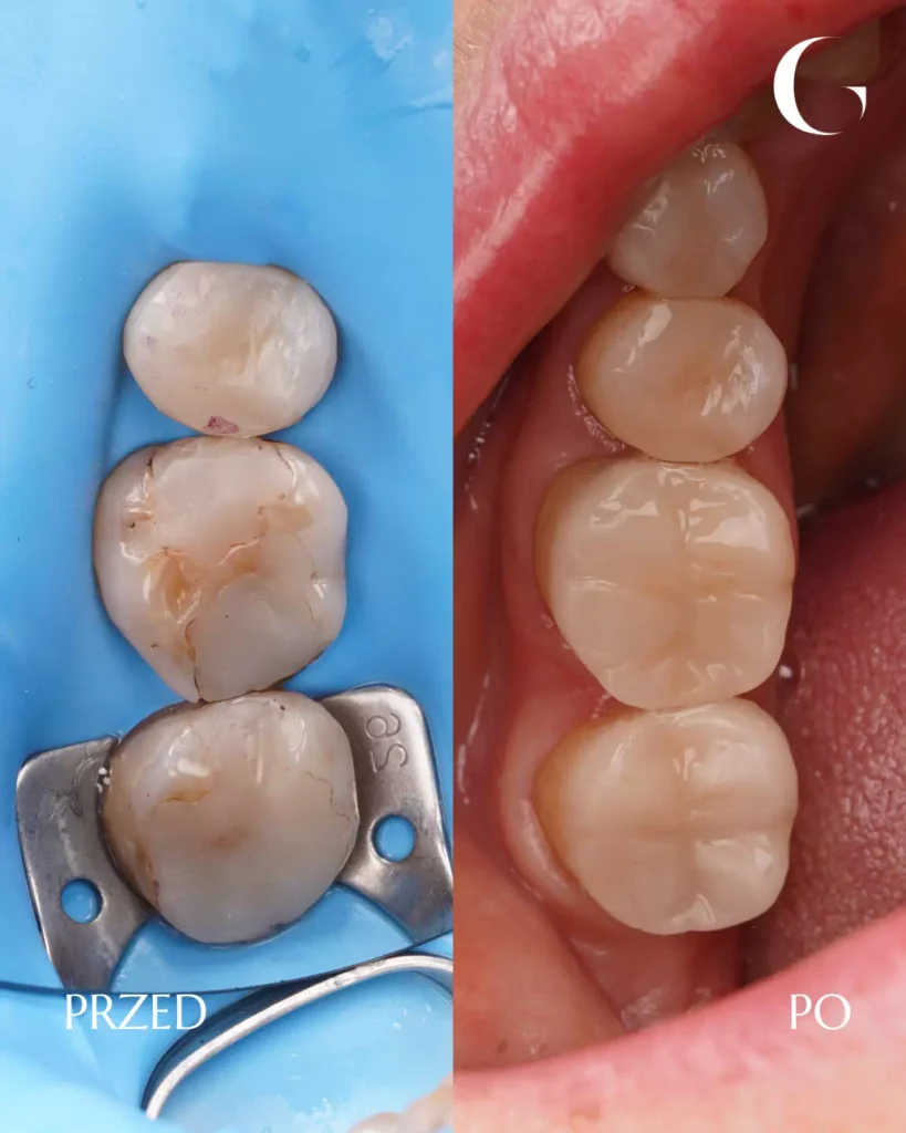 SZABLON PRZEDPO prace Pawla